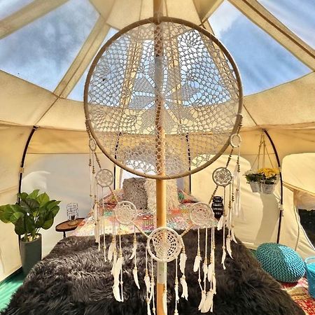 The Aries-A Stargazing, Luxury Glamping Tent Rogersville Eksteriør billede