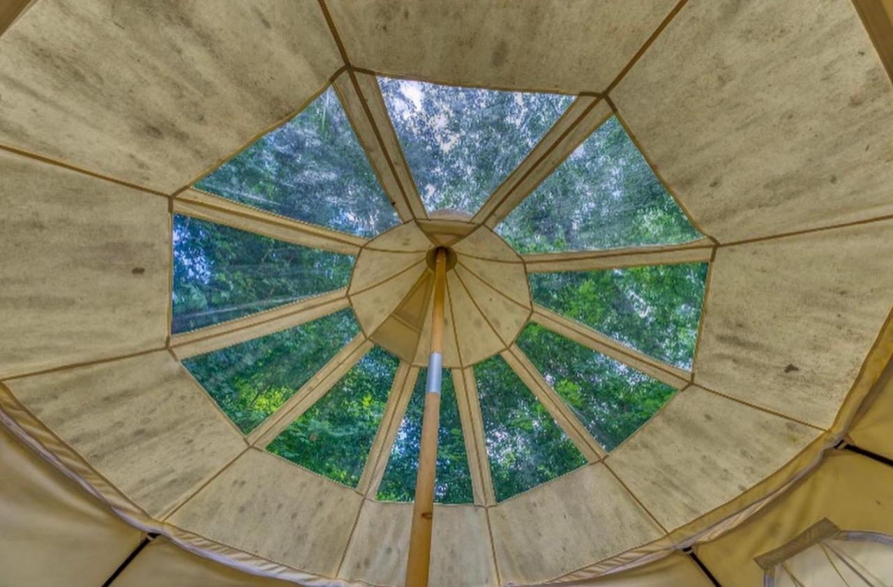 The Aries-A Stargazing, Luxury Glamping Tent Rogersville Eksteriør billede